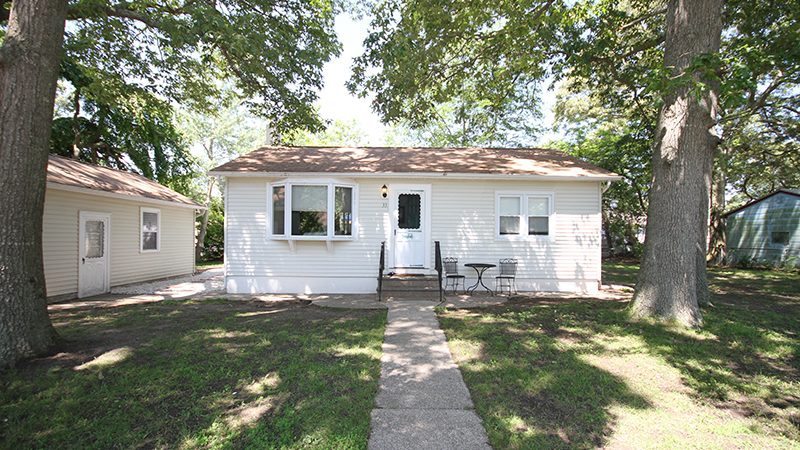 rose cottage jersey rose cottage jersey