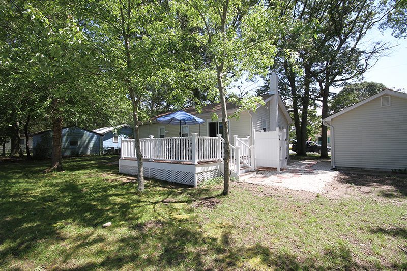 rose cottage jersey rose cottage jersey
